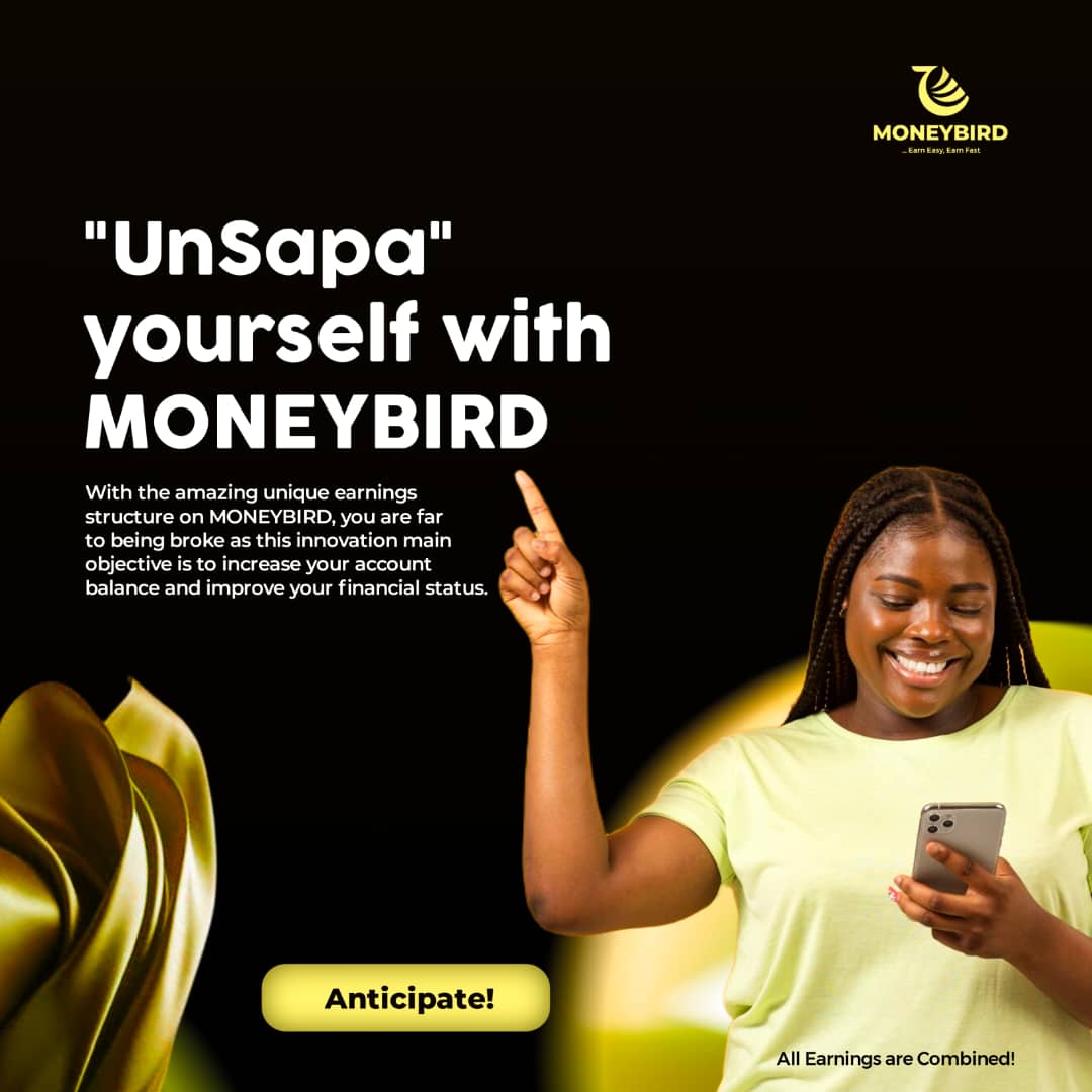 About Moneybird
